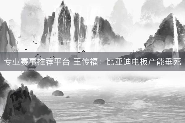 专业赛事推荐平台 王传福：比亚迪电板产能垂死