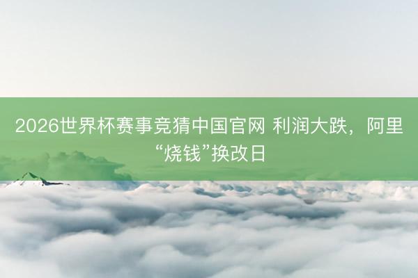 2026世界杯赛事竞猜中国官网 利润大跌，阿里“烧钱”换改日