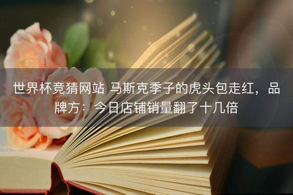 世界杯竞猜网站 马斯克季子的虎头包走红,品牌方:今日店铺销量翻了十几倍