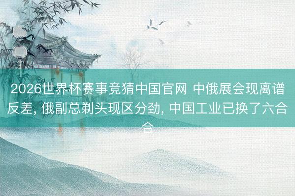 2026世界杯赛事竞猜中国官网 中俄展会现离谱反差， 俄副总剃头现区分劲， 中国工业已换了六合