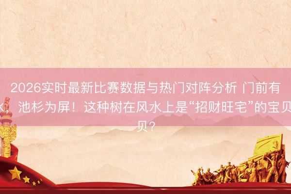 2026实时最新比赛数据与热门对阵分析 门前有水，池杉为屏！这种树在风水上是“招财旺宅”的宝贝？