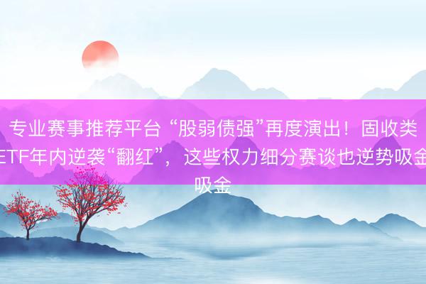 专业赛事推荐平台 “股弱债强”再度演出！固收类ETF年内逆袭“翻红”，这些权力细分赛谈也逆势吸金