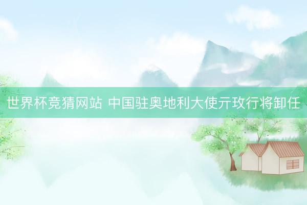世界杯竞猜网站 中国驻奥地利大使亓玫行将卸任