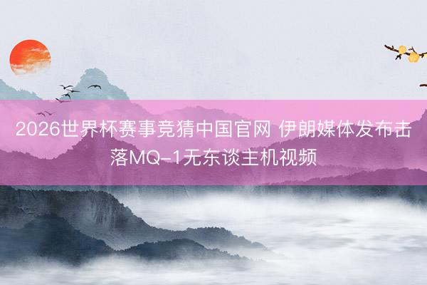 2026世界杯赛事竞猜中国官网 伊朗媒体发布击落MQ-1无东谈主机视频