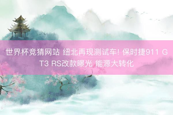 世界杯竞猜网站 纽北再现测试车! 保时捷911 GT3 RS改款曝光 能源大转化