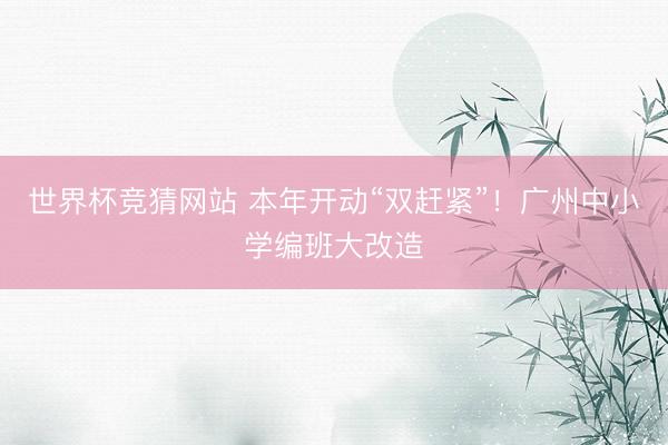 世界杯竞猜网站 本年开动“双赶紧”!广州中小学编班大改造